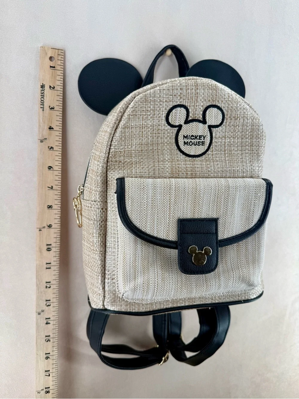 Disney mickey mouse